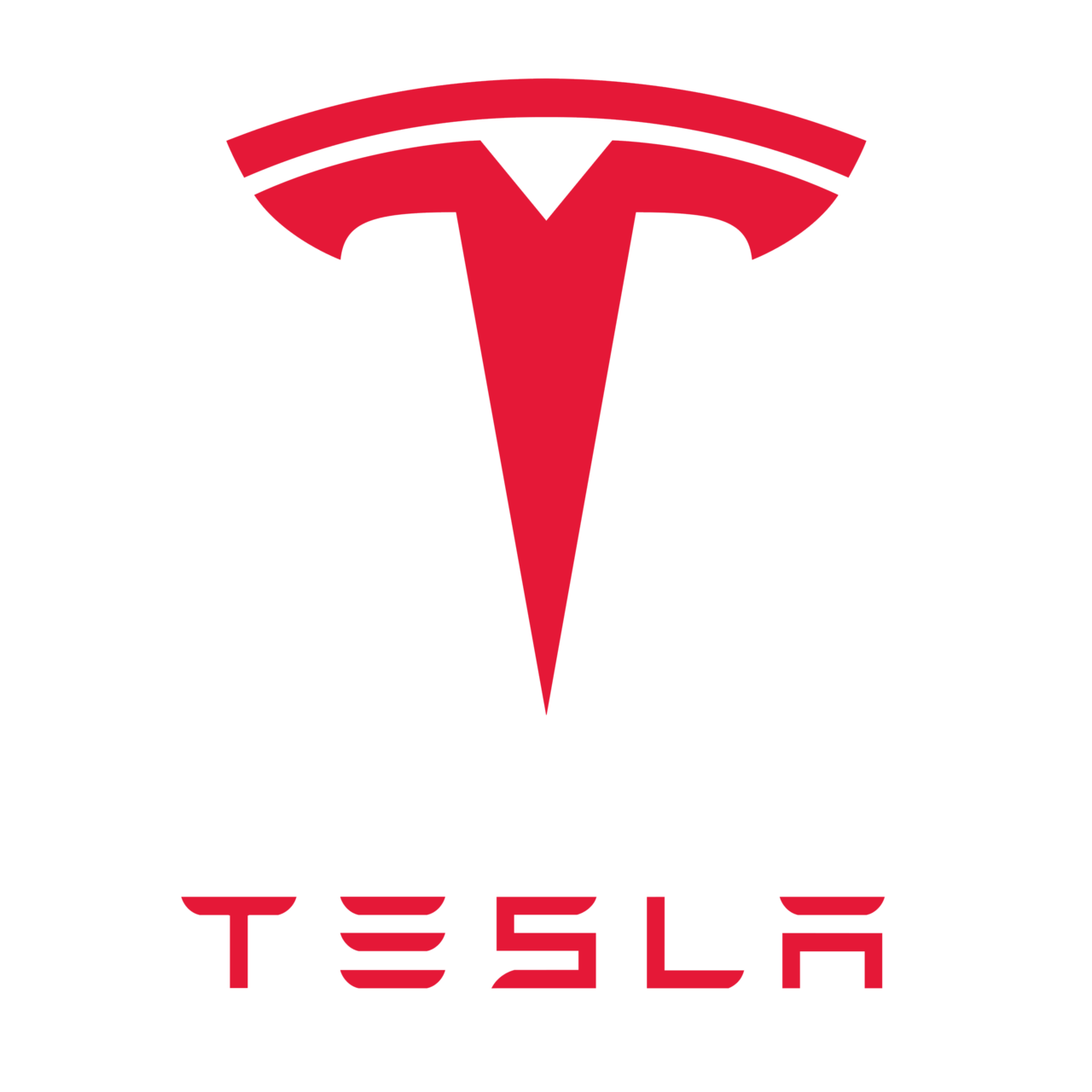 Tesla Stock