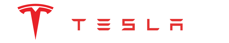 Tesla Stock
